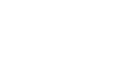 aiRaiz Logo